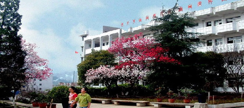 美丽校园