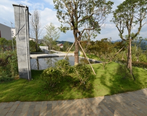 书院美景