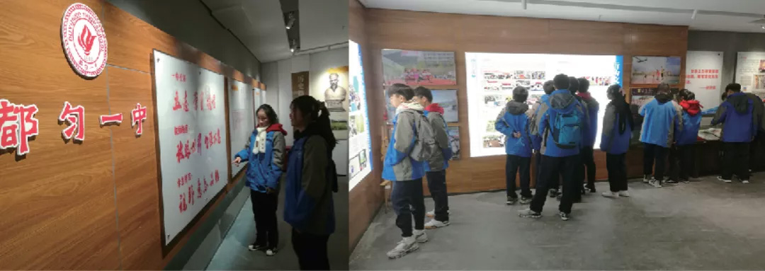 5eec92208bbcb.jpg