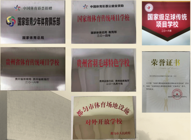 博物馆6—体育与健康239.png