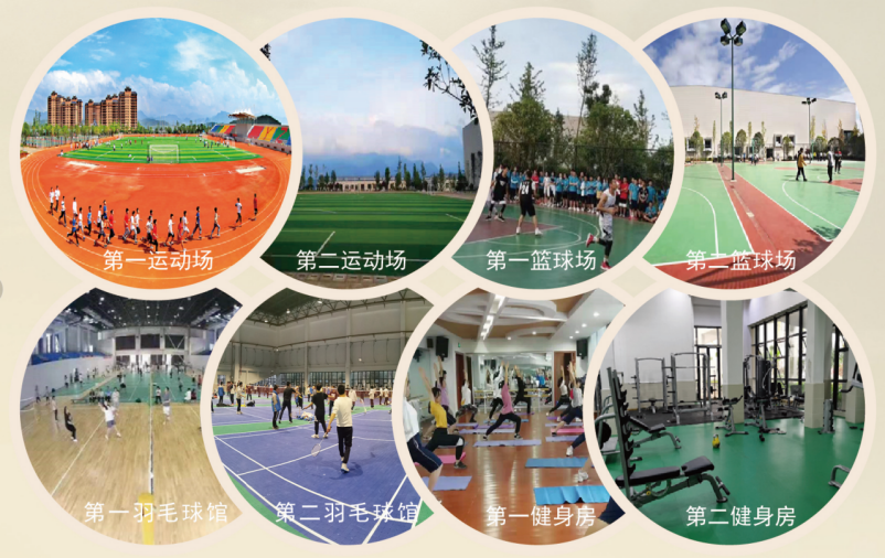 博物馆6—体育与健康310.png